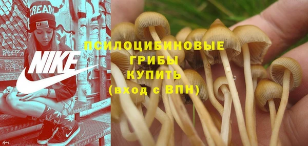 прущая мука Абаза