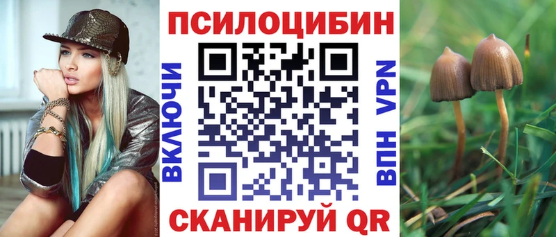 Галлюциногенные грибы Psilocybe Киржач